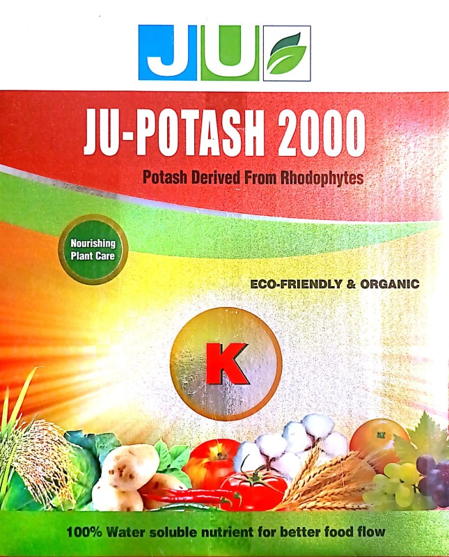 JU POTASH 2000