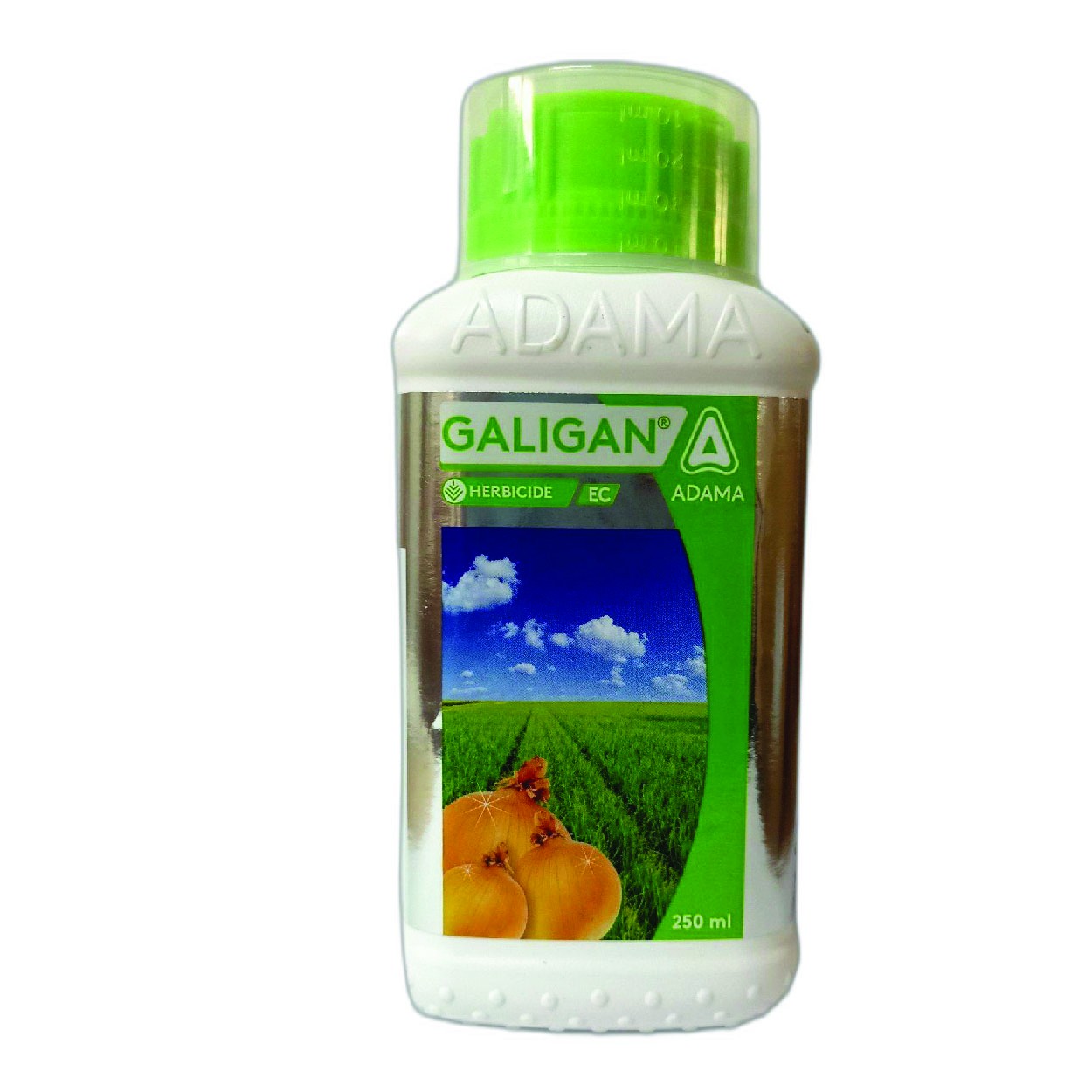 GALIGAN